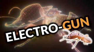 Electro Gun: The No-Chemical Termite Solution