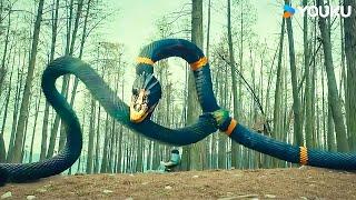 Man takes the snake to hospital and the snake repays him! | Metamorphosis | YOUKU MONSTER MOVIE