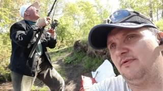 Сестрорецк. Озеро Разлив. Клёв в конце рыбалки.