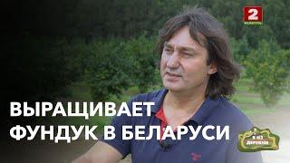 Фундук в Беларуси: возрождение традиций и новые горизонты в проекте "Я из деревни".  Деревня Рагозы.