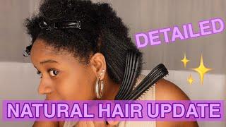 NATURAL HAIR UPDATE I BLUE MAGIC HAIR GREASE I DETANGLING BRUSHES I USE