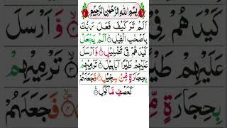 Surah Feel - Recitation | Quran Learning For Beginners
