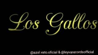 "El nino Beltran" (cover)  - LOS GALLOS