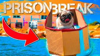 Dog Box Fort Prison Escape - EXTEME Boat Chase