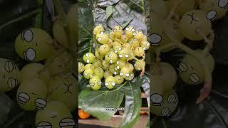 Grape Sample 