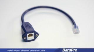 DataPro Panel-Mount CAT-6 Ethernet Extension Cable