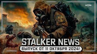 STALKER NEWS (Выпуск от 11 октября, 2024)