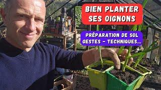 En avant pour les oignons 2025 - Plants - bulbilles - semis...