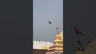 Puri Jagannath Temple Flags waves in opposite Direction #shortsfeed #shorts #puri #jagannath #short