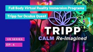 Full Body Immersion VR for Brain Injury Rehabilitation | Success Rehabilitation | Virtual Reality