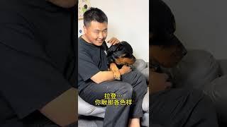 这也有点…… #拉登与阿亮的日常生活