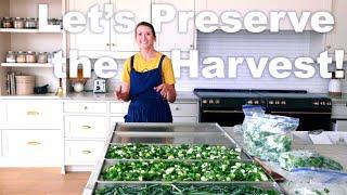 Preserving Food | Homemade spices, Fermenting and Freezing, and Seasonal Cooking.