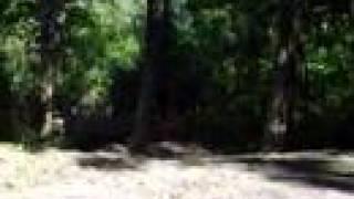 Dirtbikes & Atv Jumps