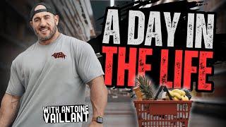 Antoine Vaillant's Casual Costco Run: A Bodybuilder's Day Off