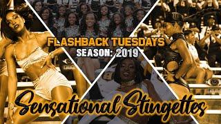 FLASHBACK TUESDAYS: Sensational Stingettes 2019 | Season Review