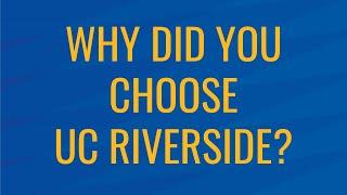 Ask a CNAS Transfer Student: Why Did You Choose UC Riverside?