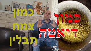 כמון דיאטה, קובי עזרא, כמון לירידה במשקל