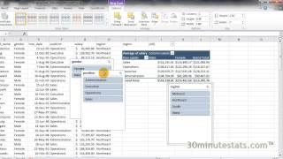 Excel 2010 - Slicers in Pivot Tables