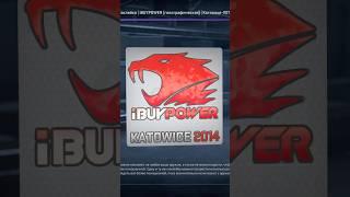 ПОЧЕМУ НАКЛЕЙКА “IBUYPOWER | KATOWICE 2014” ТАКАЯ ДОРОГАЯ?