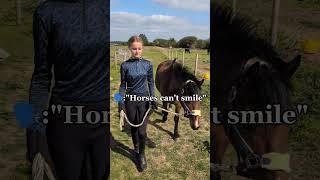 #equestrian#horse#pony#alfie#funny#reletable#smiling#viral#humour#bella#