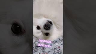 맑음이 폼미쳐따