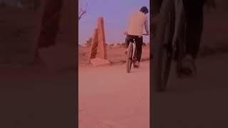 22 दिसंबर 2024