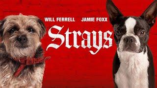 Strays (2023) Movie || Will Forte, Brett Gelman, Dan Perrault, Dennis Quaid || Review and Facts