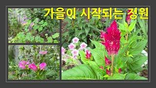 가을이 시작되는 정원. The garden where autumn begins.