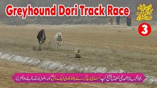 Greyhound Race || Dori Track Race M.wala Faisalabad || Round No 3 || #dog #greyhound