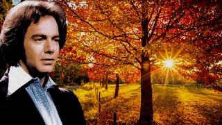 NEIL DIAMOND ~ SEPTEMBER MORN