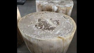 Fossilized Wood Coffee Table