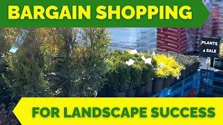 PRO TIP | Plant Shopping for Your Landscape Success