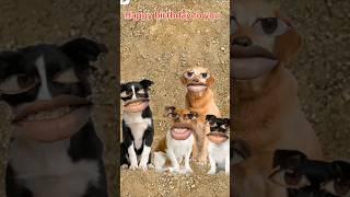 Happy birthday story  #funny #sursjrox #funnycomedy #shortvideo #fun #cartoon #comedy #amazing