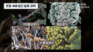 된장 속에 담긴 발효 과학 / YTN 사이언스