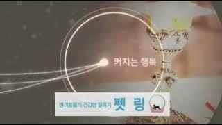 CPBC 가톨릭평화방송 ID