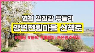 연천 임진강 강조망 리버뷰 강변전원마을 앞 임진강변산책로