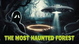 "Hoia Baciu Forest: The Bermuda Triangle of the Woods | Paranormal & UFO Mysteries"