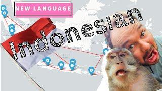 Announcing my next language project: Indonesian