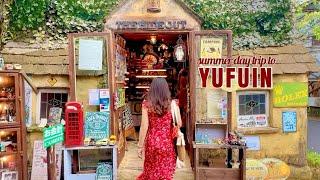  fukuoka, 𝐣𝐚𝐩𝐚𝐧 𝐯𝐥𝐨𝐠 • countryside day trip ,  yufuin floral village , cat cafe 