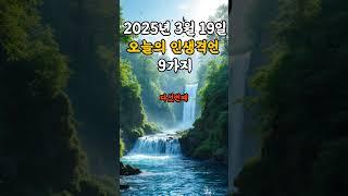 오늘의 인생격언 9가지