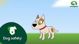 Dog Safety for Children | Woodgreen Pets Charity