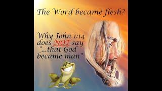 The Word BECAME Flesh? Why John 1:14 does NOT say "God became man"