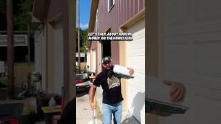 Let’s Talk About Making Money on the Homestead