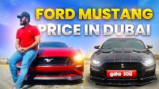 What Is the price of Ford Mustang in Dubai And My New Car | මගේ අලුත් Ford Mustang..