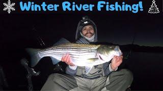 Winter River Fishing! Early Morning Sessions!