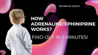 How Adrenaline/Epinephrine Works? How Adrenaline Affects the Body?