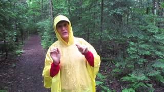 Nature Walk with Laurie in Stowe Vermont