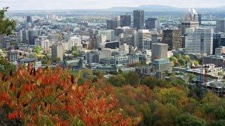 Journey on Mt-Royal