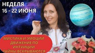 НЕДЕЛЯ 16-22 ИЮНЯ. МИСТИЧЕСКИЕ, РАЗМЫТЫЕ ИСТОРИИ. ТАЙНЫ ВСКРЫВАЮТСЯ,ЧУДЕСА СЛУЧАЮТСЯ