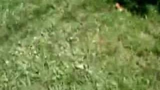 my friend hits Dr Pib with baseball bat